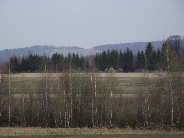 tam wysoko - na polanie: szybowisko /jest opis w galerii/, w latach 30-tych XX wieku latał też tam p. Mieczysław Pawlikowski - po wojnie został aktorem,  był ob