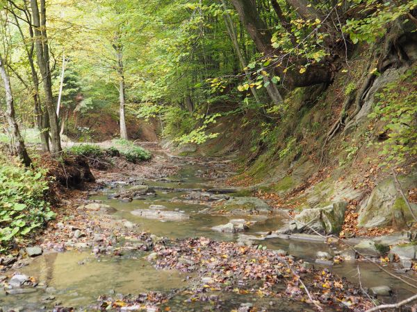 na Szlaku Siedmiu Strumieni : przez Rapiska - Kaliszcze do Zabrodzia. Chyba są jeszcze takie miejsca do odkrycia i wędrówek - może znajdziemy ? - będziemy szuka
