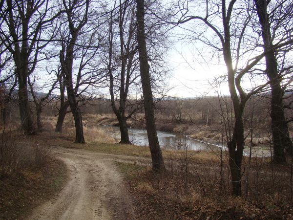 fragmenty nadrzecznego łęgu - urokliwie przepływającego tędy Sanoczka, droga tzw. "stara" przecinać rzekę będzie ale "wszystko pod kontrolą" - od wieków, żaden