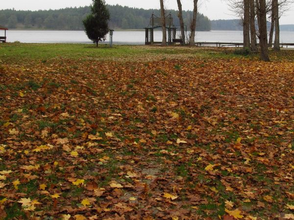 Jesień na plaży gminnej w Borsku-Jeziornej nad jeziorem Wdzydze