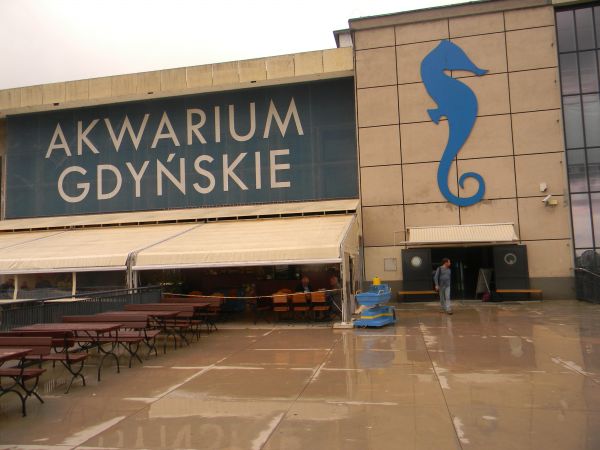 Czerwiec 2011, Akwarium Gdyńskie