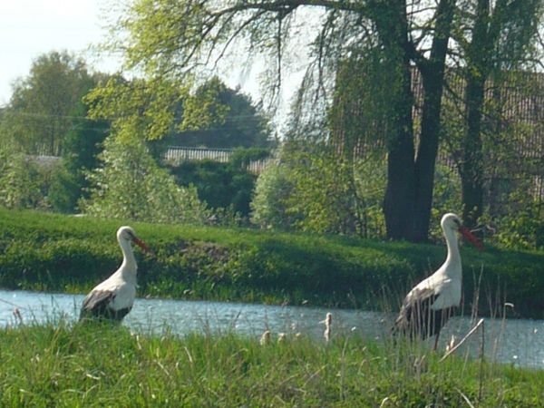 zdjecie Wola Wężykowa