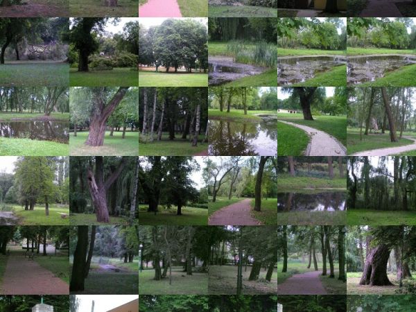 Collage parki zieleni w Szamotułach