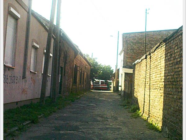 zdjecie Sulechów