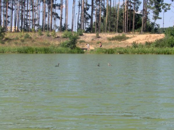 zdjecie Ostrowy nad Okszą