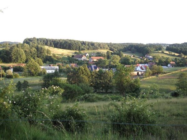 Przy drogach polnych i lasach zbieramy  owoce leśne tj.jagody maliny, jeżyny, poziomki i grzyby. Dobre warunki mają też dziki, sarny, lisy a także jenoty i inne