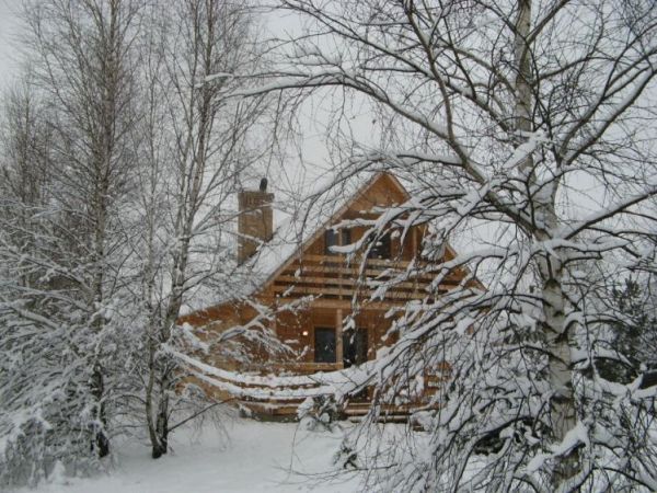 Kępa Niemojewska- śnieżna zima 2009