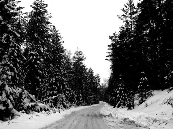 zdjecie Królowy Most