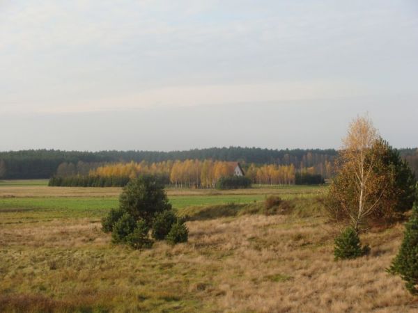 W oczekiwaniu na zime