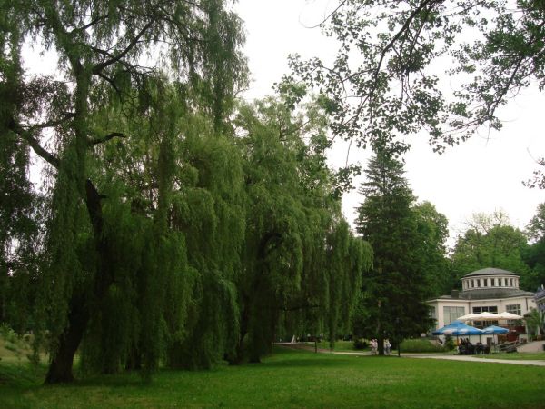 Park Zdrojowy i Pijalnia Wod Mineralnych (teraz czkolady Wedla)