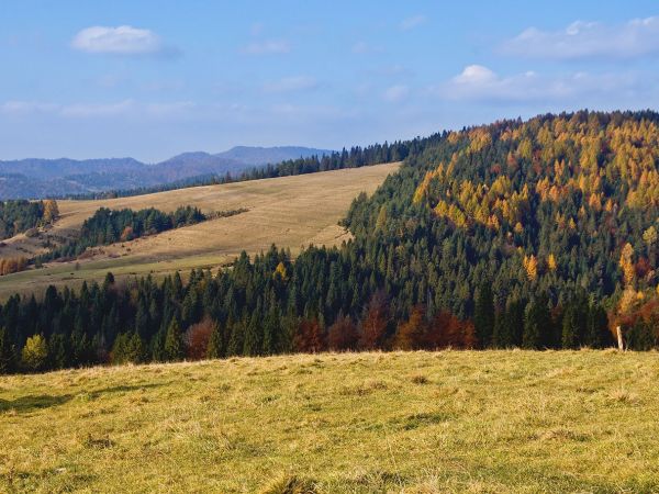 REZERWAT BIAŁA WODA