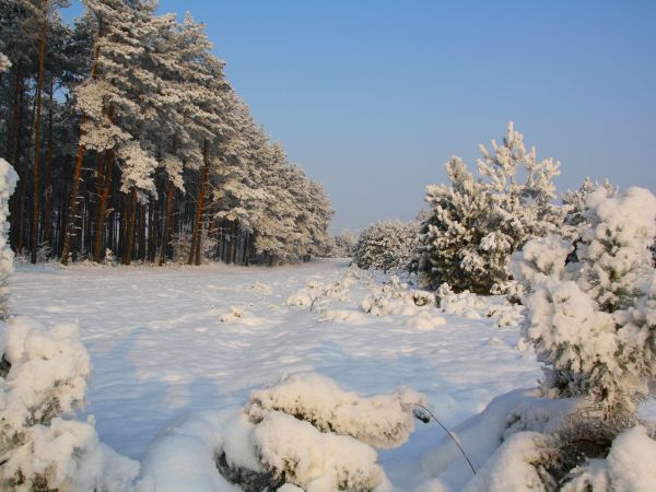 zdjecie Tyniewicze Duże