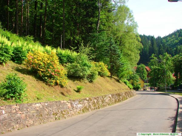 zdjecie Międzygórze