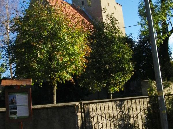 kościół św Franciszka z Asyżu