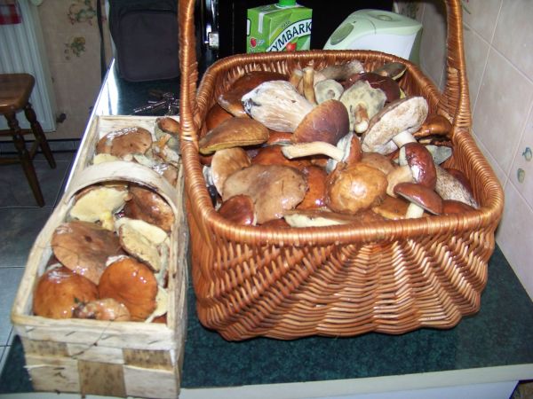 Efekt sobotniego dotleniania się na łonie natury.