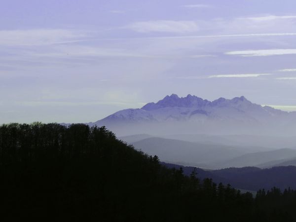 Tatry (widok z Sokolicy)