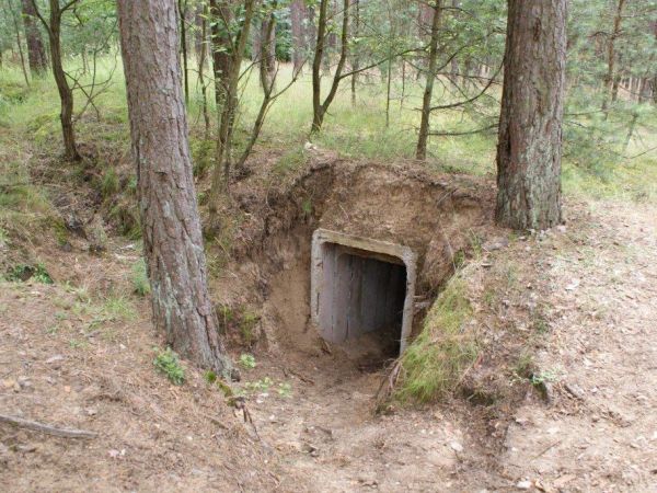 Brzeźnica Kolonia - lipiec 2012