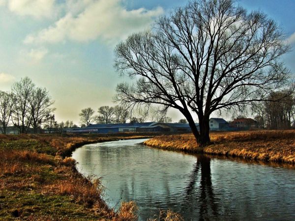 zdjecie Biała Podlaska
