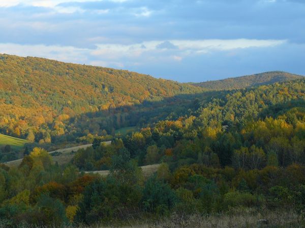 ....bo Beskid Niski to łagodne wzniesienia i  piękne doliny....