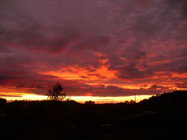 zdjecie Nowe Jaroszowice