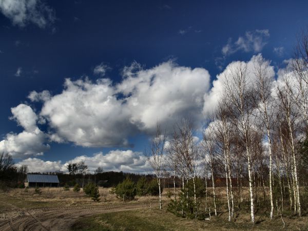 zdjecie Tyniewicze Duże