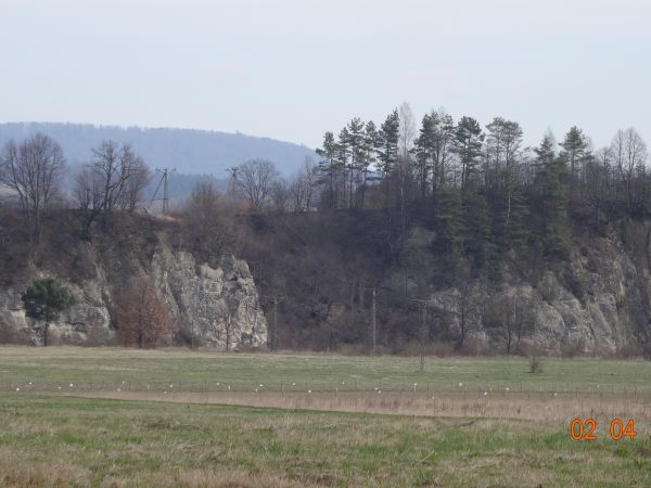 "Skałki Myczkowieckie" - pomnik przyrody, potężne urwisko skalne, ściana skalna o dł. 600m i wys. 60m - miejsce gniazdowania wielu ptaków m.in. żołny, sójki  i