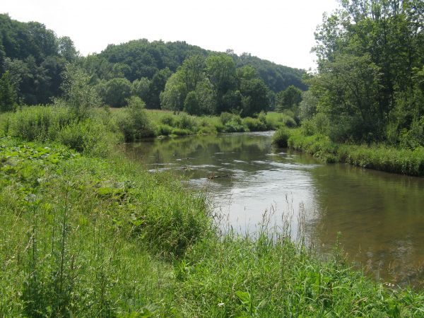 Wisłok opłynął "Zamczysko" - jakby "spokojniejszy nieco" ale "pazury" jeszcze pokaże! - toż to rzeka górska, największy - najdłuższy lewy dopływ Sanu.