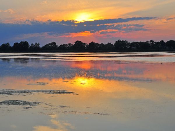 Stawy hodowlane Wielikąt k/Lubomi