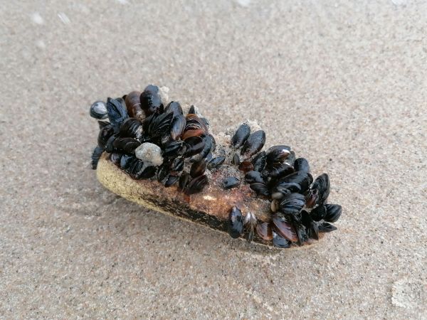 Bezludne wakacje nad Bałtykiem