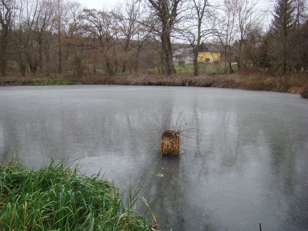 jeden z trzech stawów dworskich - zarybianie było fachowe, doglądane przez "znającego się na rzeczy" a ichtiolowy weterynarz zawsze do usług, Żydzi karczmy dzie