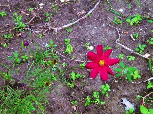 no tak to już jesień