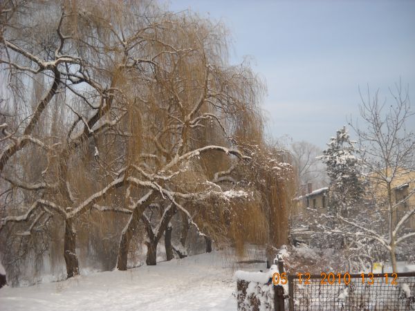 zdjecie Sosnowiec