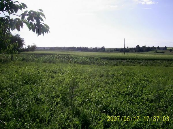 zdjecie Kozice Górne