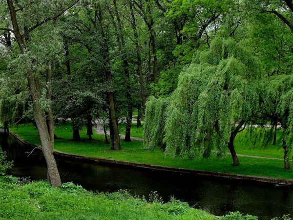 W Starogardzkim Parku nad Wierzycą