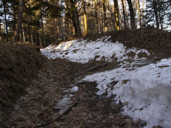 Na zielonym szlaku-Rytro