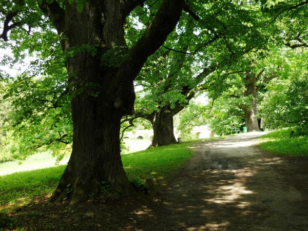 Jedna z najpiękniejszych rezydencji pałacowych w Polsce. Położona 10 km na południe od Przemyśla.  Zamek - pałac powstał w XVI wieku.  Przez kolejne lata rozbud