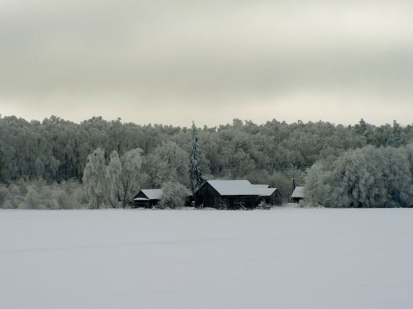 zdjecie Wola Uhruska