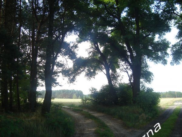 Ulica Wiatraczna. Droga ta dzieli się na 2 odcinki drogi(jak widać na zdjęciu). Droga zataczająca półkole, odchodząca od ulicy Wiatracznej, prowadzi do drogi Pr