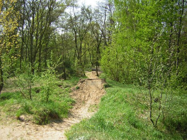 zdjecie Sulechów