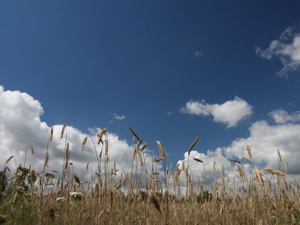 ,,okolica żwirowni,,