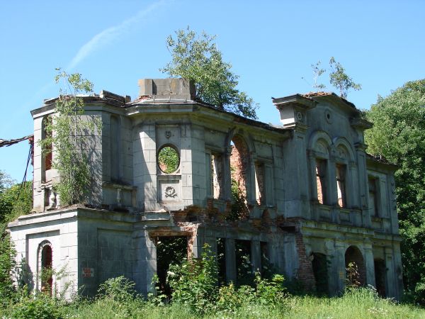Ruiny pałacu Karskich 2011