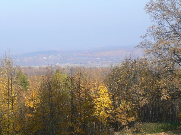 Górna część Przecznicy