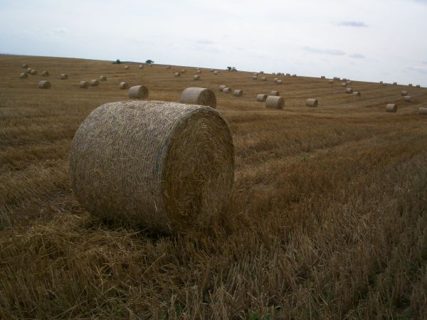 Jesienny krajobraz Kwiatoniowa