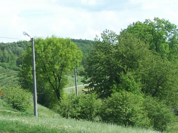 Koniec Gródek w kierunku Kondrat