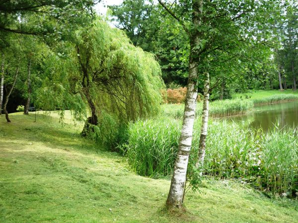 Jedna z najpiękniejszych rezydencji pałacowych w Polsce. Położona 10 km na południe od Przemyśla.  Zamek - pałac powstał w XVI wieku.  Przez kolejne lata rozbud