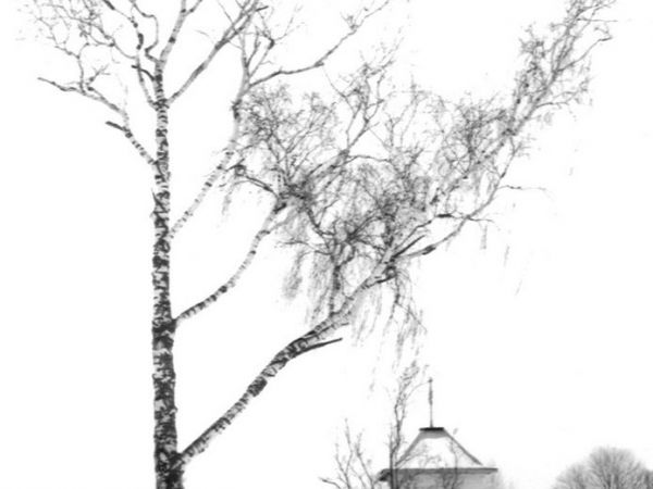 Ulica Willowa