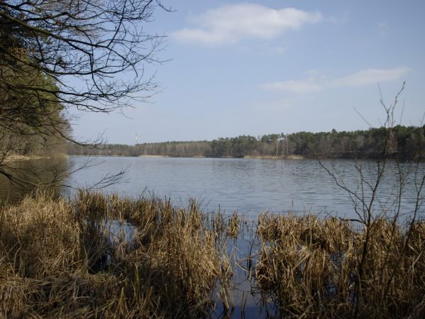 Jezioro Dankowskie Małe