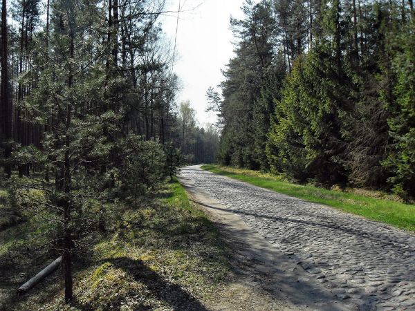 Droga brukowa do Leśnej Huty z Czarnej Wody