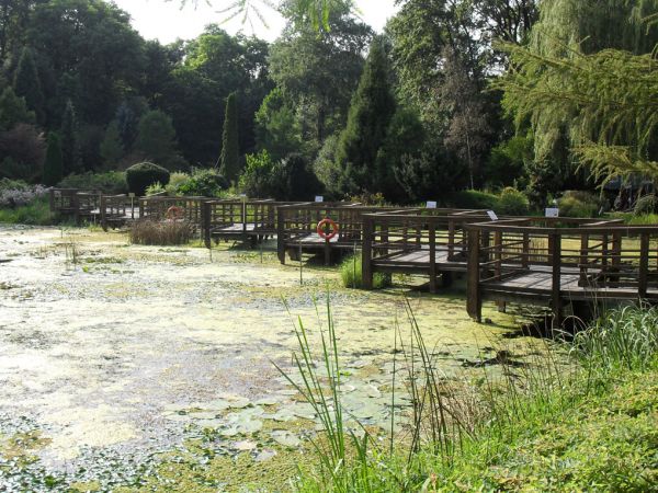 Arboretum w Bolestsraszycach