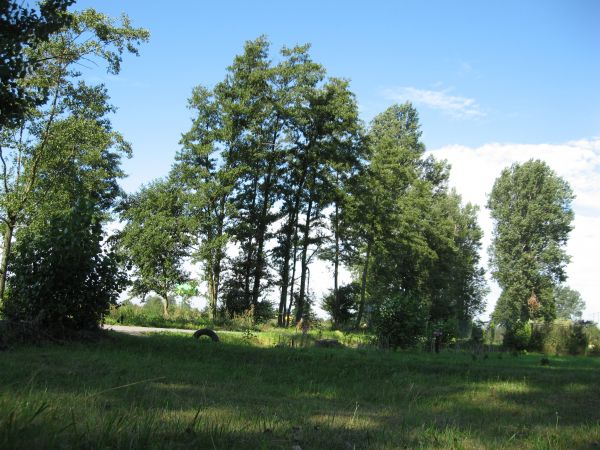 Pejzaże malutkiej wioski...